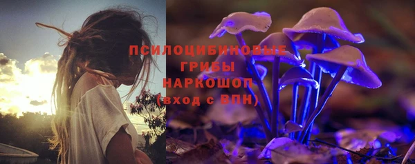 метадон Лагань