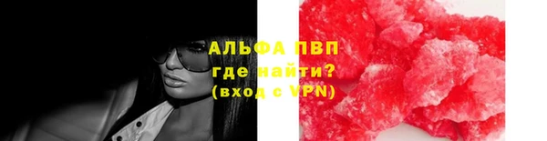 Альфа ПВП Ладушкин