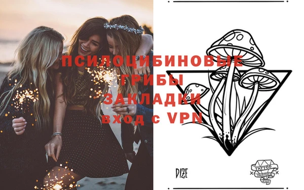 метадон Лагань