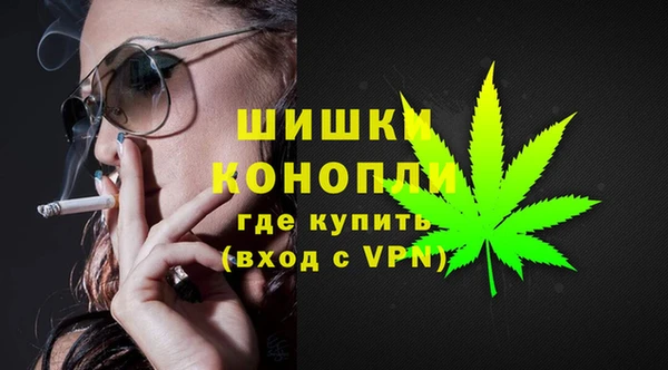 Альфа ПВП Ладушкин