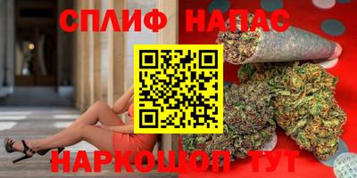 прущие грибы Заводоуковск