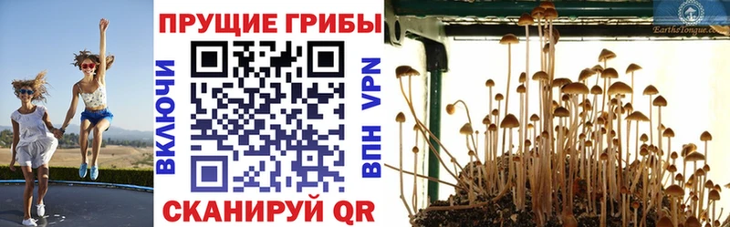 Галлюциногенные грибы MAGIC MUSHROOMS  Минеральные Воды 