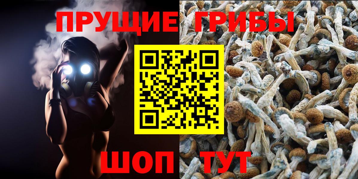 Галлюциногенные грибы прущие грибы  Галлюциногенные грибы мухоморы  Вход с VPN  Минеральные Воды 