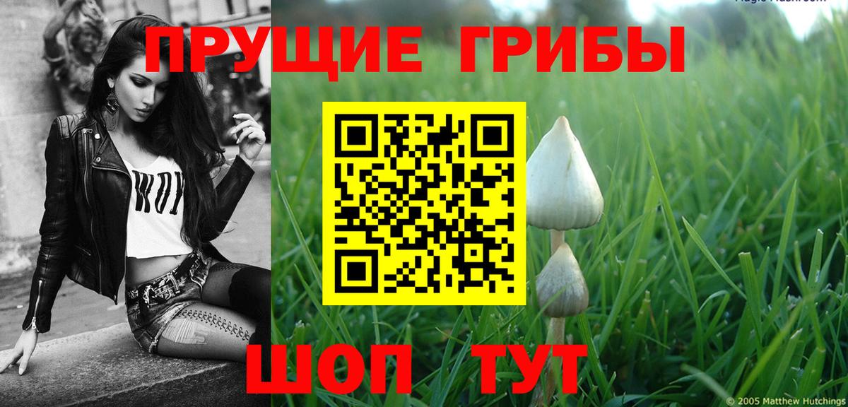 Псилоцибиновые грибы GOLDEN TEACHER Минеральные Воды