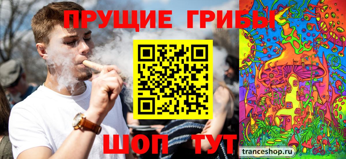 купить  цена  Минеральные Воды  Псилоцибиновые грибы Psilocybine cubensis 