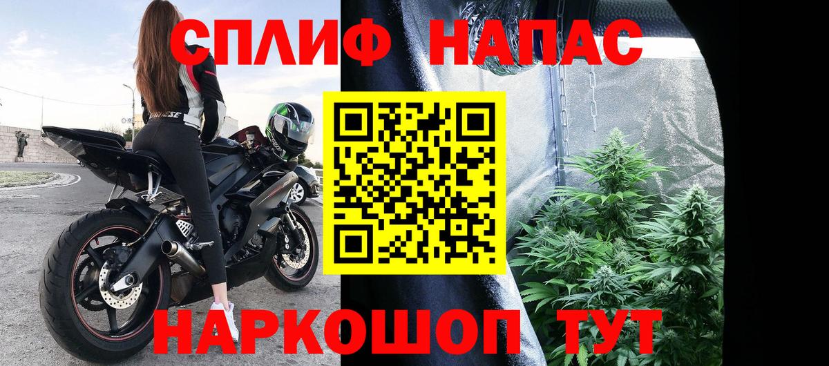 Конопля индика  Шишки марихуана сатива  Конопля LSD WEED  Вход с VPN  Минеральные Воды 